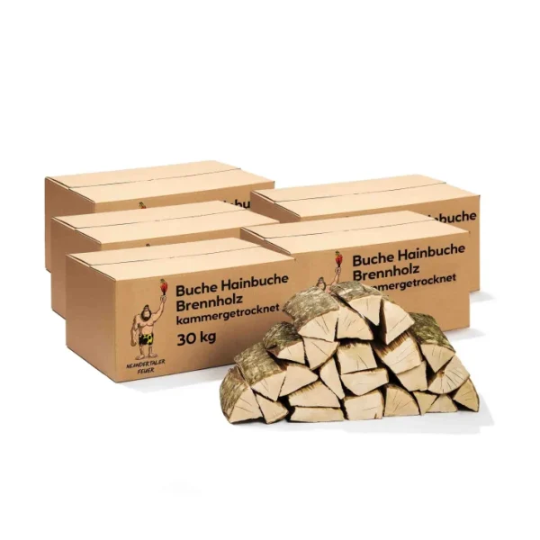 Brennholz Buche Hainbuche 150kg